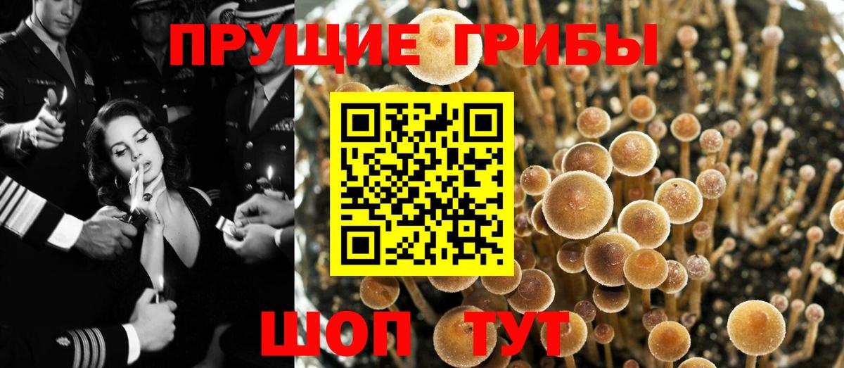 Псилоцибиновые грибы Psilocybine cubensis  где купить наркоту  Тобольск  Вход с VPN 